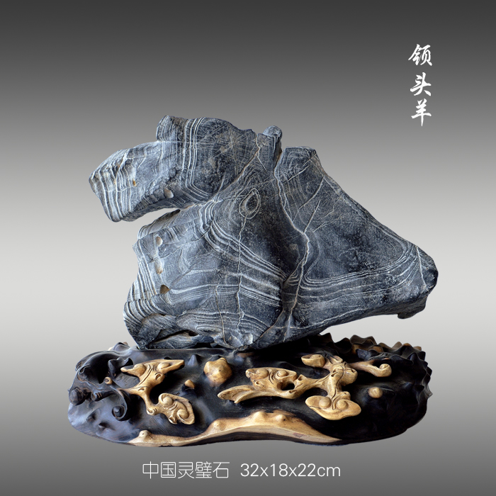 领头羊
