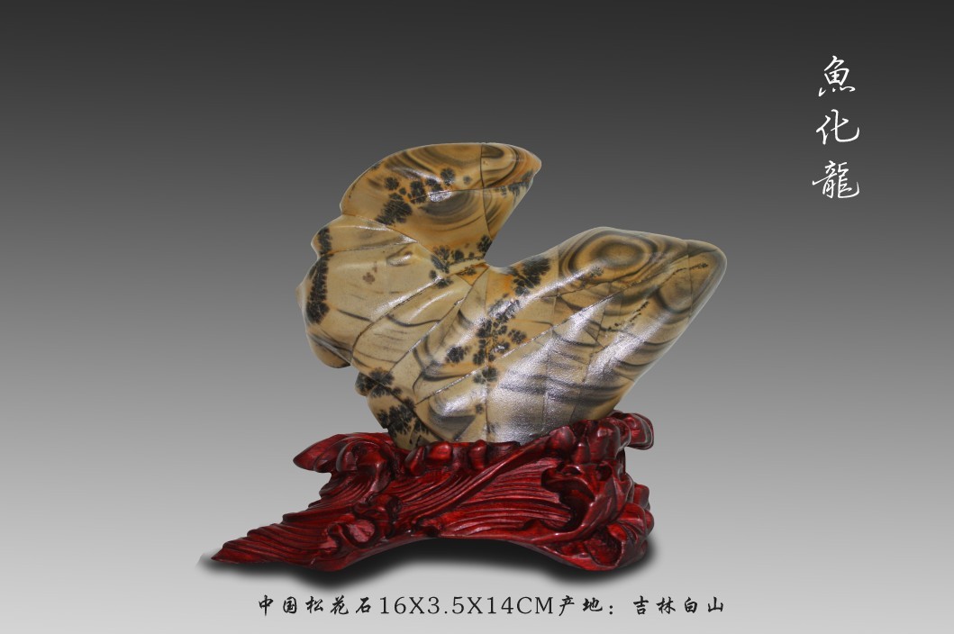 鱼化龙