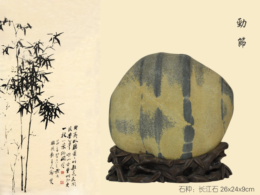 劲节