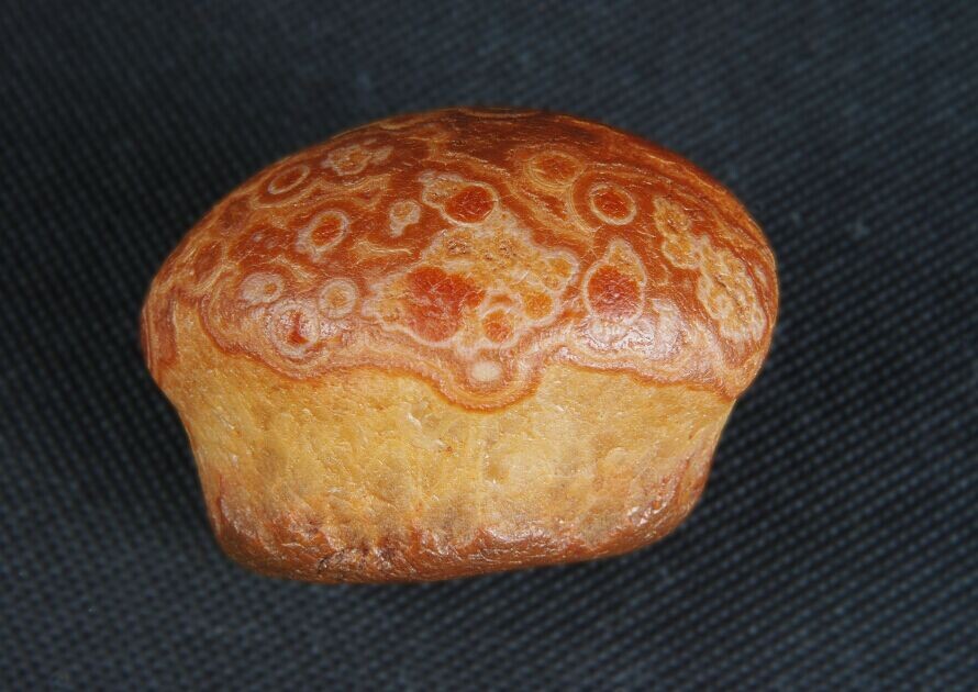 菠萝包（已交流）