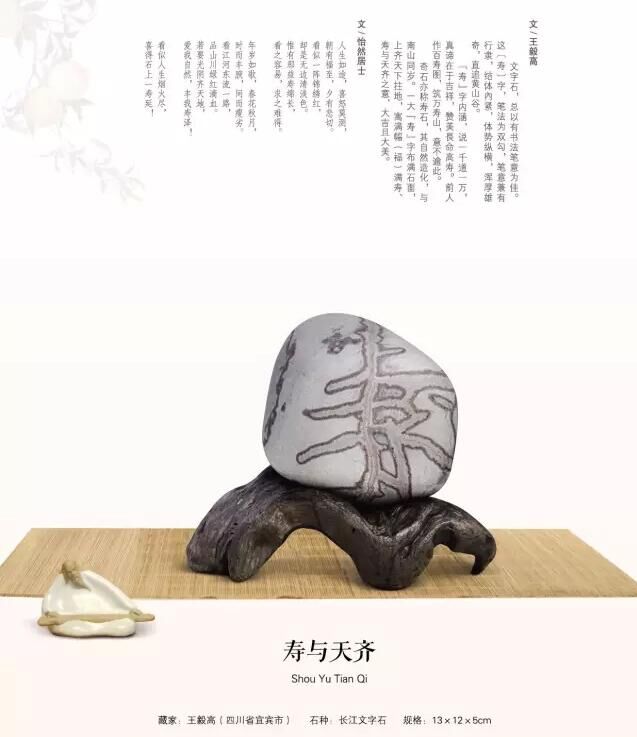 寿与天齐