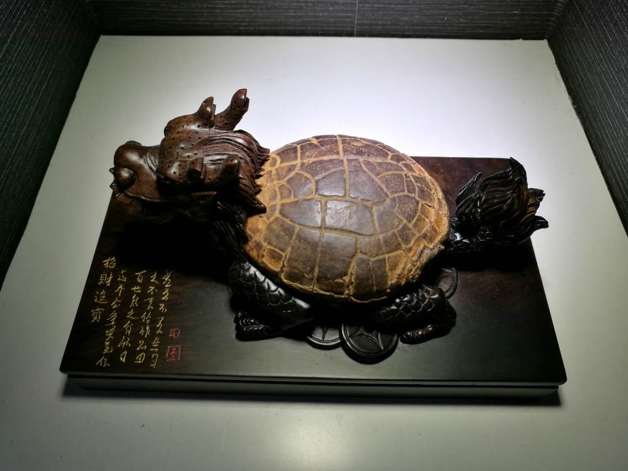 龙龟