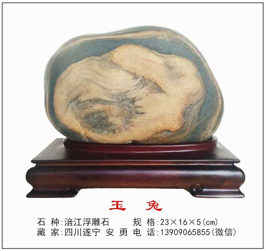 玉兔