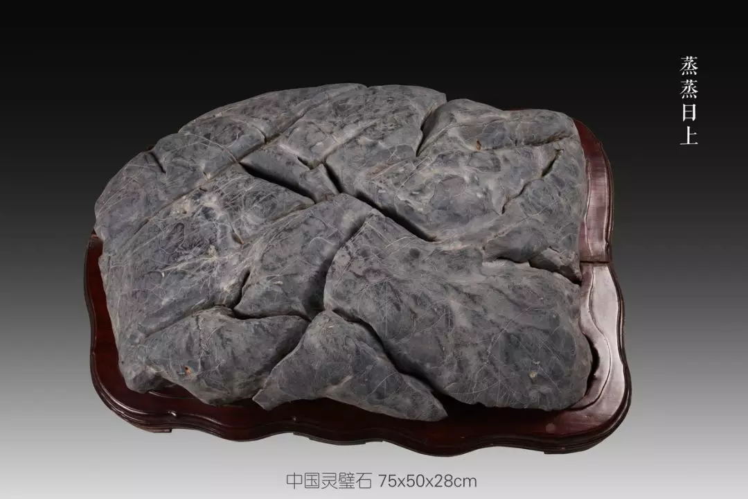 蒸蒸日上