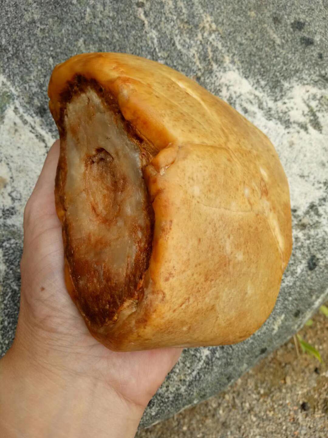 驴打滚