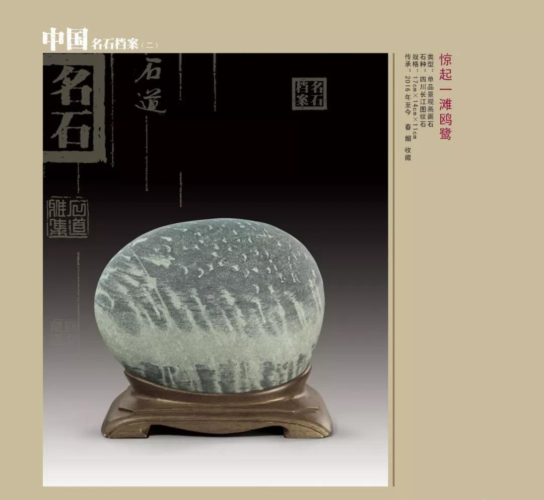 惊起一滩海鸥