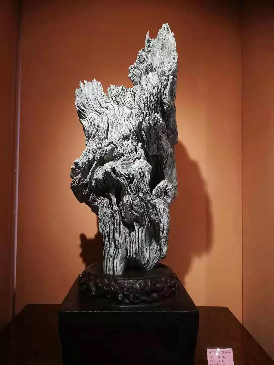 隐机