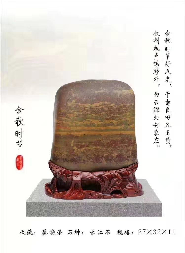 金秋时节