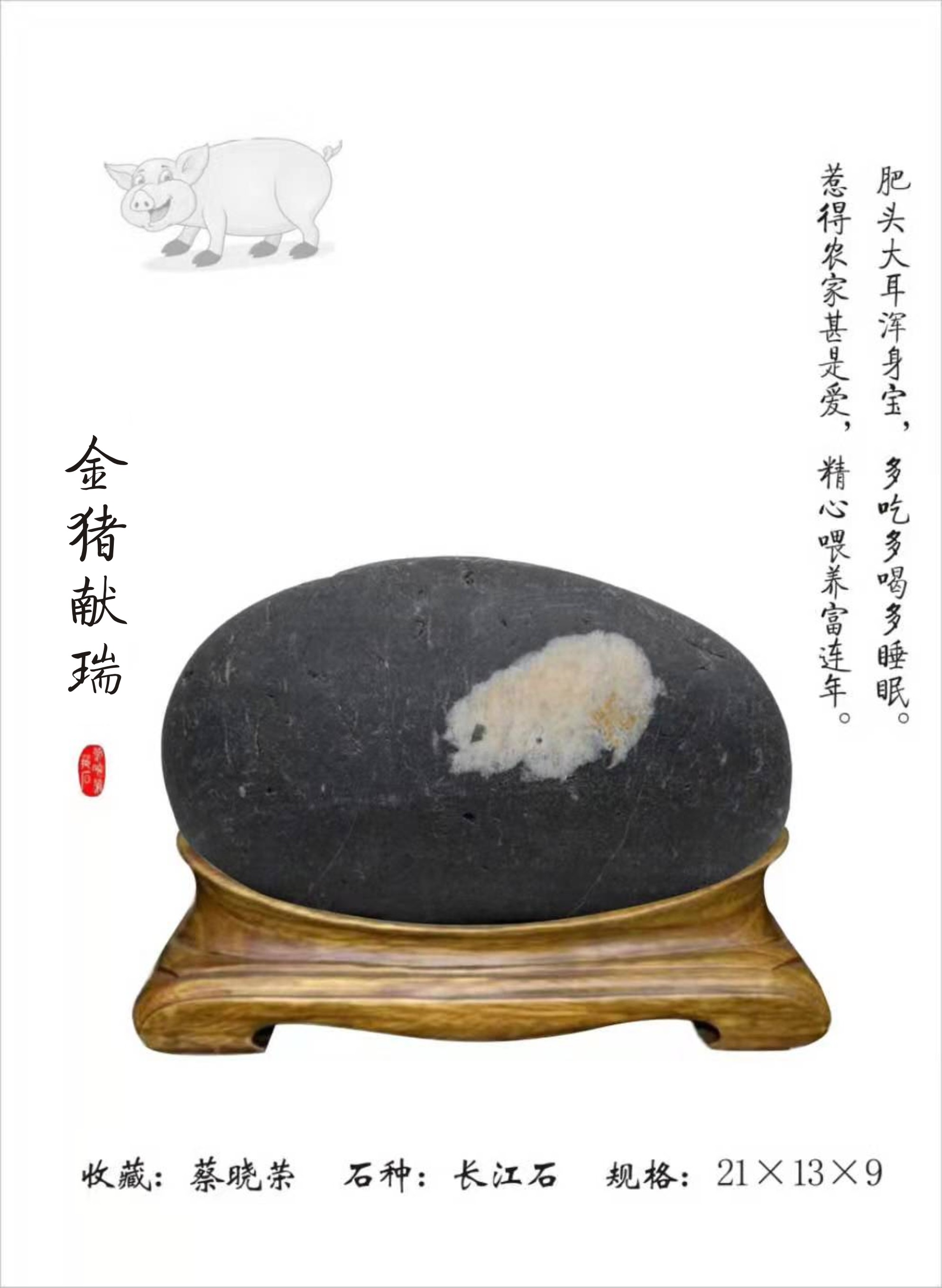 金猪献瑞