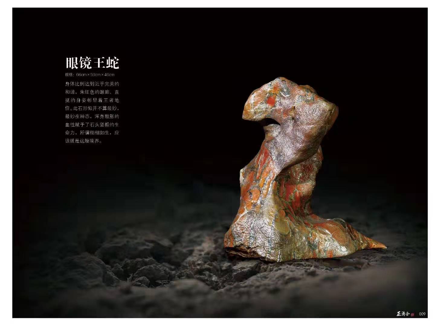 眼镜王蛇
