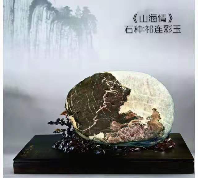 山海情