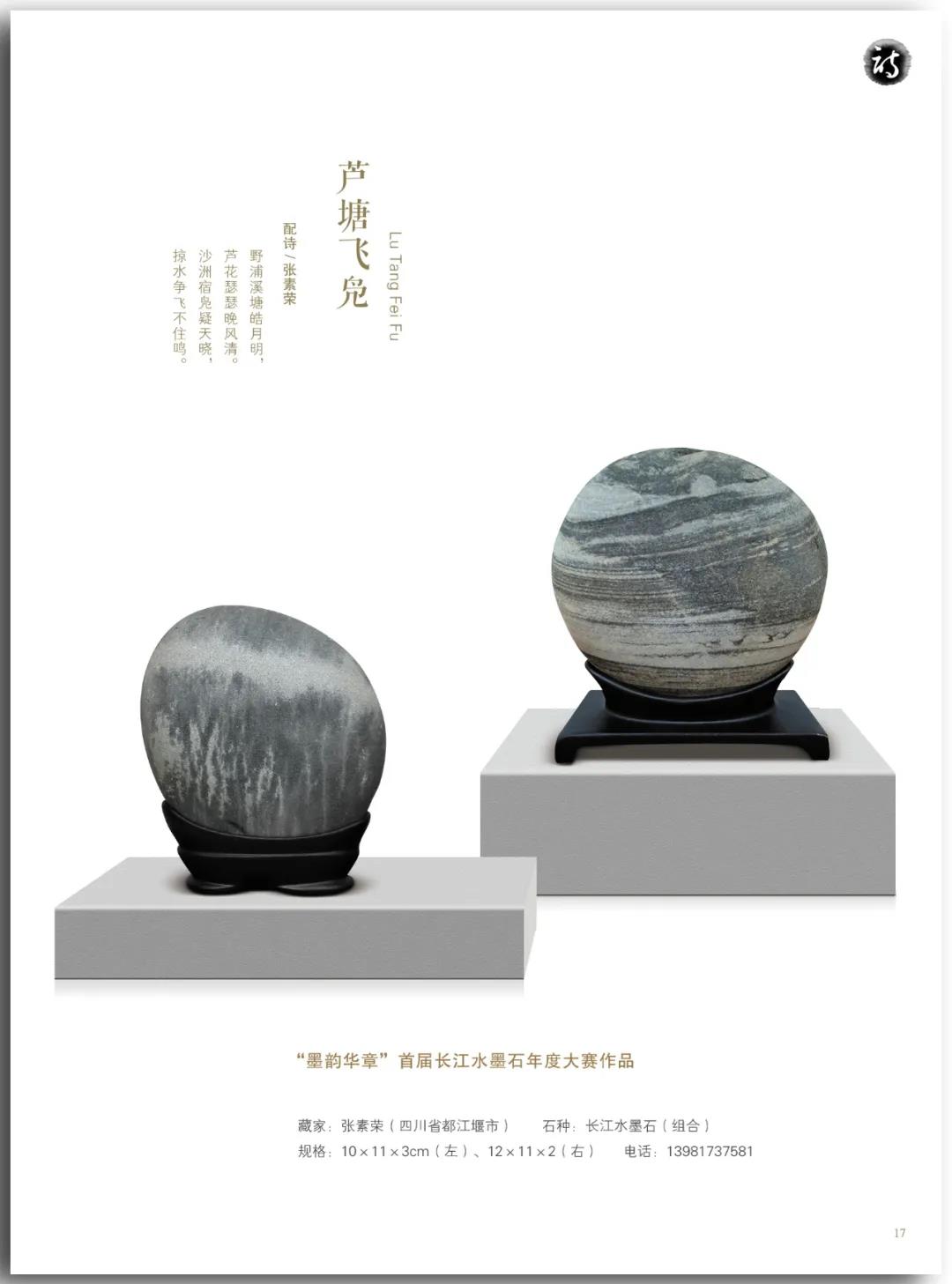 芦塘飞凫